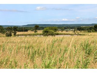 Property photo 32 - LAND AUCTION - 1,593+/- ACRES OFFERED IN 21 TRACTS IN OKMULGEE CO., OK